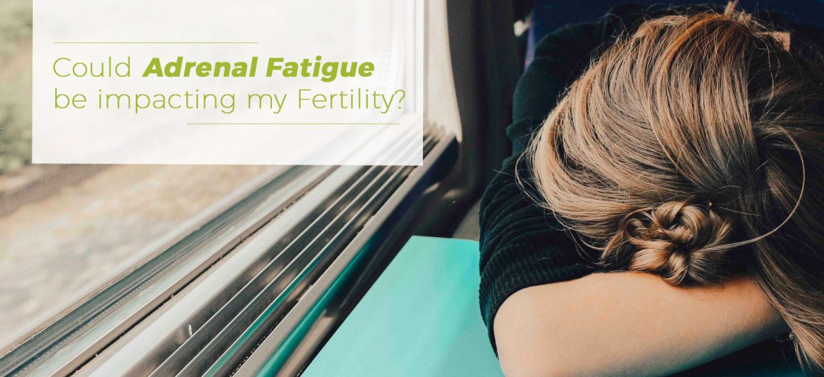 adrenal_fatigue_and_fertility