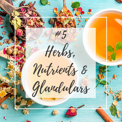 support_adrenals_with_herbs